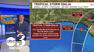 Tropical Depression 10 formed into Tropical Storm Idalia Sunday and continues towards Florida