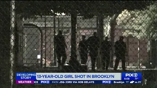 13-year-old girl hit by stray bullet near Brooklyn playground