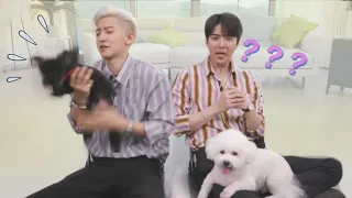 when Sehun & Chanyeol have to babysit Vivi & Toben