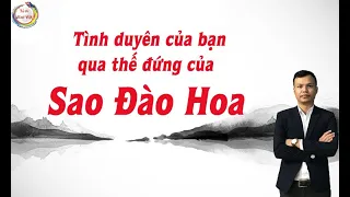 Tình Duyên Của Bạn Qua Vị Trí Sao Đào Hoa || Tử Vi Nam Việt