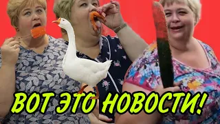 НИЧЕГО СЕБЕ! ВОТ ЭТО НОВОСТИ! ОЛЬГА УРАЛОЧКА LIVE. ОБЗОР.