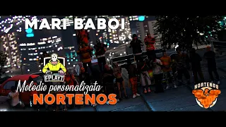 MARI BABOI - MELODIE PERSONALIZATA @Nortenos14