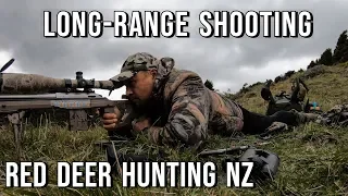Red Deer hunting NZ - Long range Shooting