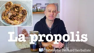 Propolis : mal de gorge, bronchite, immunité basse, cancer