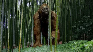 絶滅してよかった1万年前の古代怪物たち