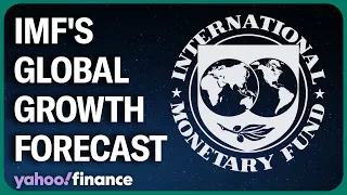 IMF economist explains global growth forecast for 2024, 2025
