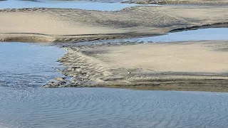 Beach metal detecting after the rain ￼