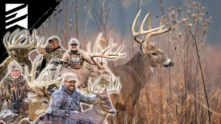 Should You Deer Hunt Mornings In October?