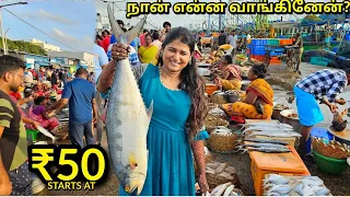 Kasimedu Fish Market💥 Sema Fresh Fish #market #fish