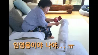 할머니~ 임영웅이 그리 좋으세요??  ㅠ  /  별빛같은나의사랑아 / singing grandma so lovely & puppy