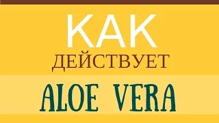 Как действует АЛОЭ ВЕРА ? Действия aloe vera на наши сосуды.