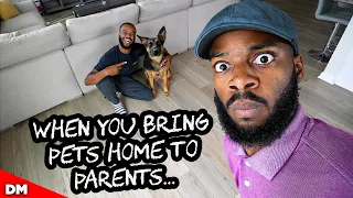 WHEN YOU BRING PETS HOME TO PARENTS