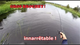 Session BROCHET en Irlande : jour 5