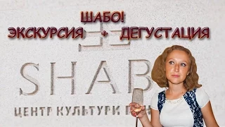 ШАБО! ЗАСТРЯВШИЕ В ШАБО... (МАРИНА ТЕЛЬНИК)