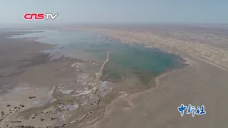 甘肃疏勒河现 大河西流 盛景   哈拉奇湖300年后见碧波