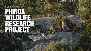 One Of The Great Success Stories Of African Wildlife Conservation | WWF