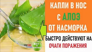 Как избавиться от заложенности носа? Капли Алоэ – творят чудеса.