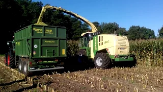 Уборка кукурузы на силос в Германии