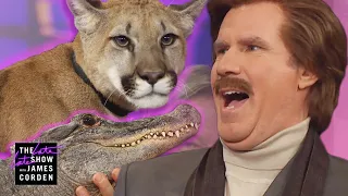 Ron Burgundy Meets a Cougar, Alligator & Skunk