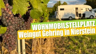 Auf einem Weingut mit dem Wohnmobil. Mitten zwischen Weinreben #vlog35 #womo #camper #reisemobil