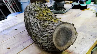 Woodturning a Log - Live Edge Black Walnut Bowl