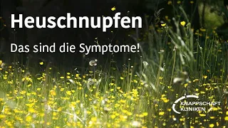 Heuschnupfen: An diesen Symptomen erkennst Du, ob Du möglicherweise Heuschnupfen hast!