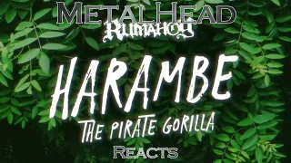 METALHEAD REACTS to "Harambe, Pirate Gorilla" by Rumahoy