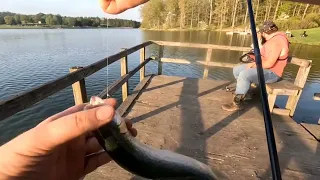 Dunlap Creek Lake Fishing