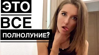 H&M ЖАДИНЫ😳 Неадекват на улице! Купание самого несчастного пса😂