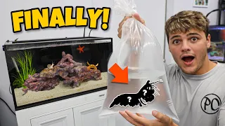 Buying MOST DANGEROUS CREATURE for My AQUARIUM!!