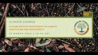 Scaling Private Investment in Climate Adaptation and Biodiversity