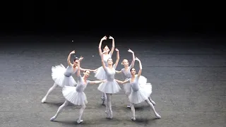 Vienna State Opera fun ballet Слава Украине