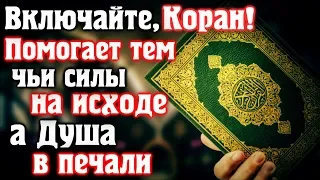 📣 ВКЛЮЧАЙТЕ КОРАН, ПОМОГАЕТ ТЕМ, ЧЬИ СИЛЫ НА ИСХОДЕ, А ДУША В ПЕЧАЛИ!