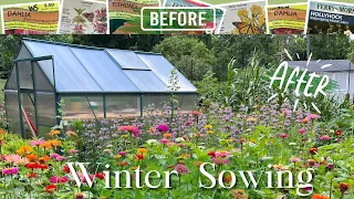 Winter Sowing REVEAL! 🌱🌸 || AMAZING RESULTS From Seedlings To Mature Flowers