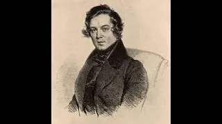 Schumann: Piano Sonata No. 1 in F♯ minor, Op. 11 - Nikola Meeuwsen