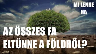 Mi lenne, ha az összes fa eltűnne a Földről?