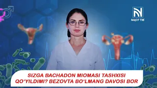 SIZGA BACHADON MIOMASI  TASHXISI QO'YILDIMI ?  Bezovta bo'lmang DAVOSI  bor#miomas #bachadon #doktor