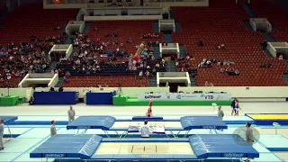 LITVINOVICH Ivan (BLR) - 2018 Trampoline Worlds, St. Petersburg (RUS) - Qualification Trampoline R1