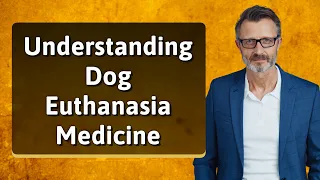 Understanding Dog Euthanasia Medicine