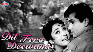 शम्मी कपूर और माला सिन्हा की सुपरहिट रोमांटिक मूवी दिल तेरा दीवाना | Dil Tera Deewana | Mehmood