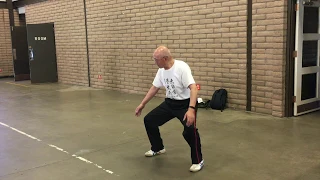 Master George Xu Tai Chi Training for Martial Force from Space Power