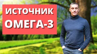 Омега-3 какие лучше выбрать | Натуральный источник Омега 3 6 9