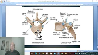 Respiratory  module 5 (Thoracic cage , part 5),by Dr.Wahdan