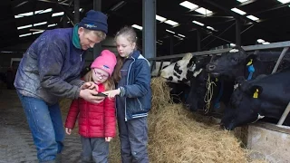 John Macnamara installs MooMonitor+ cow heat and health detection system on his dairy farm