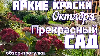 ИЗМЕНЕНИЯ в саду. Мы очень ДОВОЛЬНЫ. Результаты САДОВОГО сезона. 6 октября