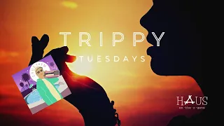 Engelwood | Crystal Dolphin | Trippy Tuesdays