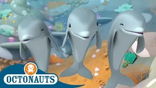 #StayHome Octonauts - Dolphins or Sharks? | Full Episodes | Cartoons for Kids