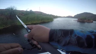 AZ FISHING-TOP WATER -CANYON/APACHE LAKE AZ