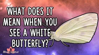 What Does It Mean When You See a White Butterfly?