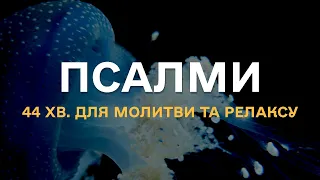 Біблійні псалми під звуки глибин океану, для молитви, відпочинку та натхнення. Українською мовою